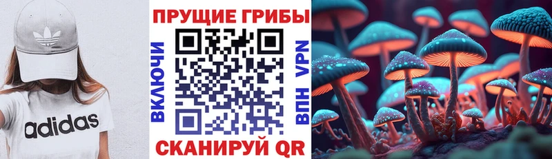 Купить закладки  Красноуральск  Галлюциногенные грибы мухоморы 